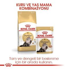 Royal Canin Adult Persian İran Kedilerine Özel 2 kg Yetişkin Kuru Kedi Maması