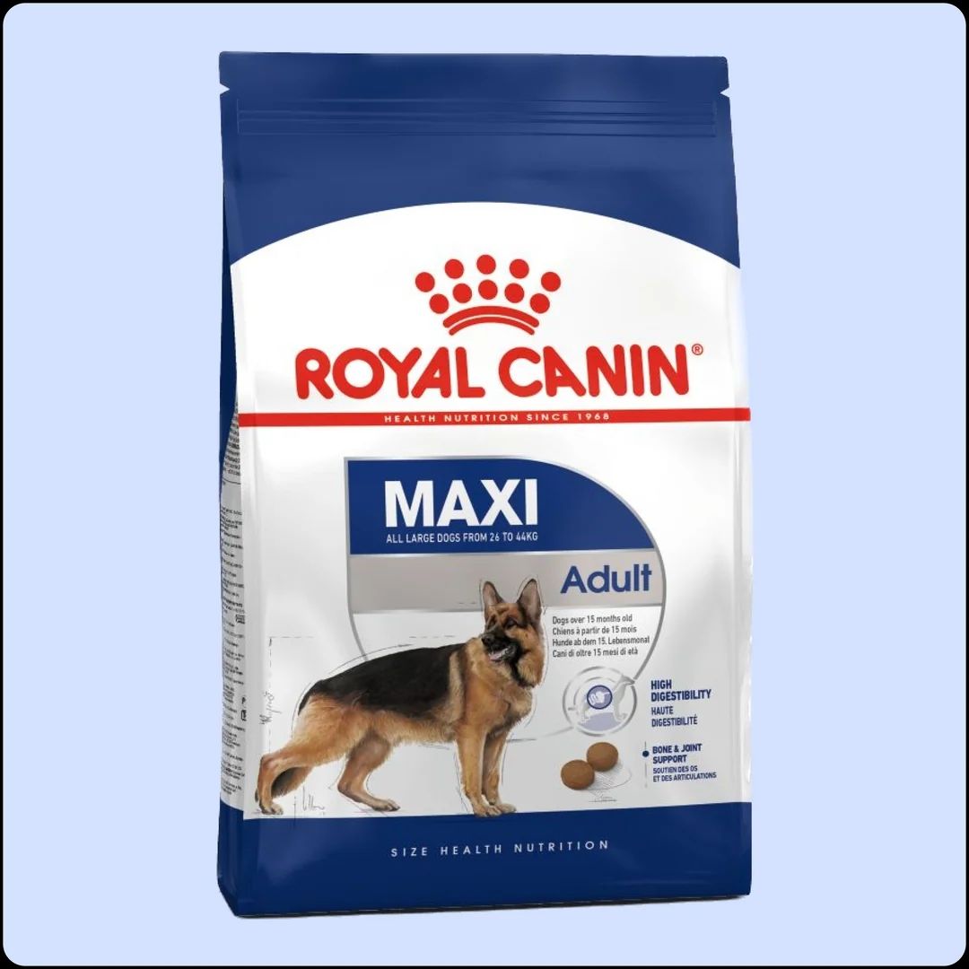 Royal Canin Maxi Adult 15 kg Büyük Irk Yetişkin Köpek Maması