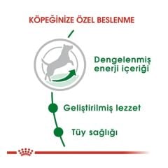 Royal Canin Mini Adult 8 kg Küçük Irk Yetişkin Köpek Maması