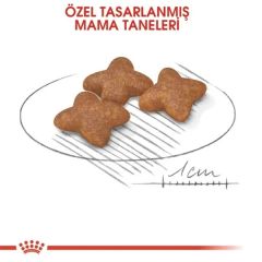 Royal Canin Mini Adult 8 kg Küçük Irk Yetişkin Köpek Maması