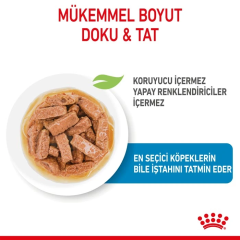 Royal Canin Maxi Puppy Yaş Maması 10X140 Gr