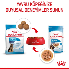 Royal Canin Maxi Puppy Yaş Maması 10X140 Gr