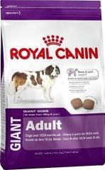 Royal Canin Giant Adult 15 kg Dev Irk Yetişkin Köpek Maması