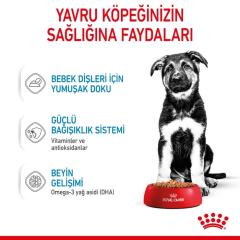 Royal Canin Maxi Puppy Büyük Irk Yavru Köpek Maması 15kg