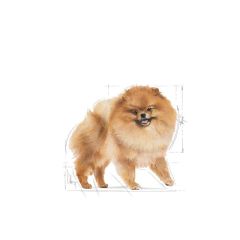 Royal Canin Pomeranian 3 kg Yetişkin Köpek Maması