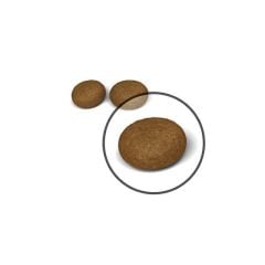 Royal Canin Hair & Skin 2 kg Yetişkin Kedi Maması