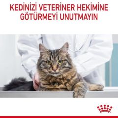 Royal Canin Hair & Skin 2 kg Yetişkin Kedi Maması