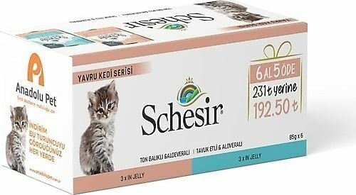 Schesir Yavru Kedi Serisi 6 Al 5 Öde 6x85 gr Konserve Yaş Mama